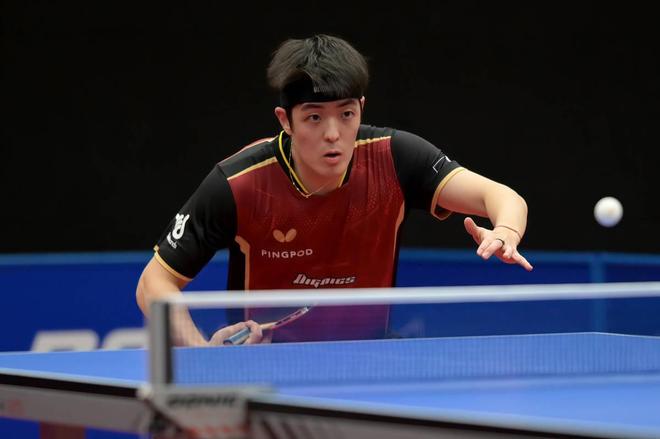 行政处罚 行政处罚